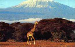 Kilimandaro  Tanzanie Punchstock, Girafe, Carte Double - Tanzania