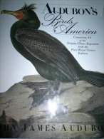 AUDUBON'S BIRDS OF AMERICA - Cultural