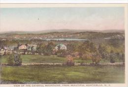 New York Catskill View Of The Catskill Mountains From Beautiful Monticello Albertype - Catskills