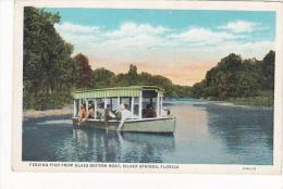 Florida Silver Springs Feeding Fish From Glass Bottom Boat - Silver Springs