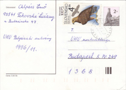 EAGLE, OLD CITY RUINS, PC STATIONERY, ENTIERE POSTAUX, 1996, SLOVAKIA - Postkaarten