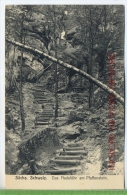 Sächs. Schweiz-Das Nadelöhr Am Pfaffenstein, Um 1920/1930, Verlag: Max Köhler, Dresden Postkarte,  Unbenutzte Karte , - Bastei (sächs. Schweiz)