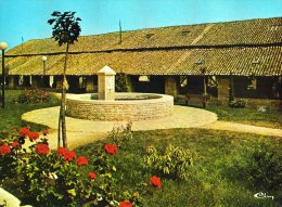 86 - COUHE-VERAC - Les Halles Du XVI Siècle    (PLES) - Couhe