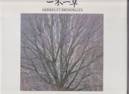 PHOTOGRAPHIES DE SHINZO MAEDA ARBRES ET BRINDILLES (93 PAGES) - Enzyklopädien