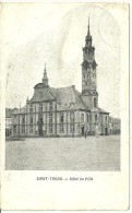 Jolie Carte En Noir Et Blanc De Saint-Trond ( Hôtel De Ville ) - Sint-Truiden