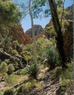 (120) Australia - NT - Standley Chasm - Zonder Classificatie