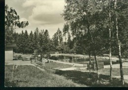 Schöna Sächsische Schweiz Wald Schwimmbad Freibad 1966 - Schöna