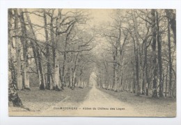 Champdenniers. Allée Du Chateau Des Loges. - Champdeniers Saint Denis