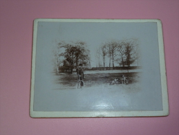 Photo Ancienne Velo Chien Parc Bicyclette - Cycling