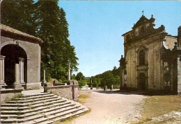 4414/A/FG/13 - SERRA SAN BRUNO (VIBO VALENTIA) - Chiesa Di S. Maria Nel Bosco - Vibo Valentia