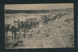 ETHNIQUES ET CULTURES - AFRIQUE DU NORD - Caravane Du Caïd Ben Ganah - Non Classificati