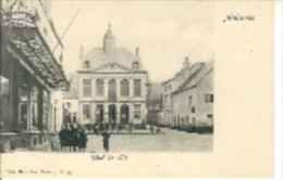 Belgique:ANDENNE(Namur ) :Hôtel De Ville..Carte Non écrite.Nels,série 9,N°55.Parfaite. - Andenne