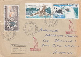 PENGUINS,PINGOUINS, SEAGULLS, POLARS EXPLORERS, STAMPS AND POSTMARKS ON COVER, 1989, FRANCE - Penguins