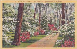 Florida Jacksonville The Oriental Gardens - Jacksonville