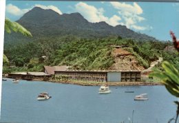 (310) Fiji Island - Tradewinds (older Postcard) - Figi