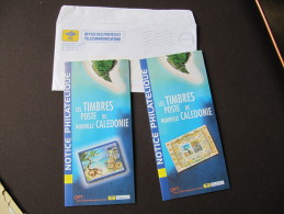 2-2940 Lettre Noumea 2001 Notices Timbres Millénaire Nouvelle Calédonie  Flamme - Cartas & Documentos