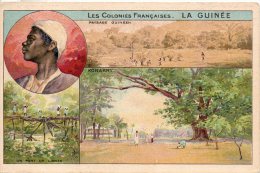 Guinée. Les Colonies Françaises. Carte Illustrée - Guinea