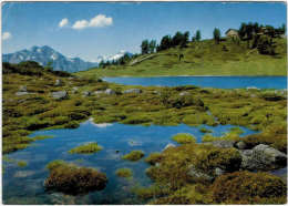 Suisse - Petit Lac Et Restaurant Du Tracouet Sur Nendaz - Nendaz