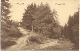 POLLEUR (4910) Paysage D' été - Theux