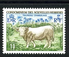 New Hebrides (French) 1975 Charolais Bull MNH (A) - Neufs