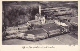 Tongerloo, -  Abbaye Des Prèmontrès, à Tongerloo. / Luchtfoto - Westerlo