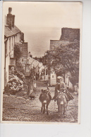 High Street Clovelly âne Ane - Clovelly