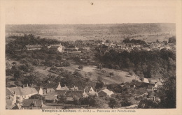 NEAUPHLE LE CHATEAU - Panorama Sur PONTCHARTRAIN - Neauphle Le Chateau