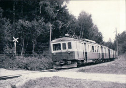 Chemin De Fer BAM, Train Entre Bière Et Ballens Photo 1963 BVA BAM 146.5 - Ballens