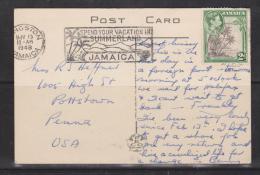 Jamaica 1948 Picture Post Card Kingston To USA 2d KGVI Palm Franking - Jamaïque (...-1961)