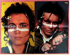 2 Kleine Musik Poster  Adam Ant  -  1 Rückseite : David Coverdale ,  Von Bravo Ca. 1982 - Afiches & Pósters