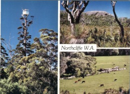 (130) Australia - WA - Northcliff - Altri & Non Classificati