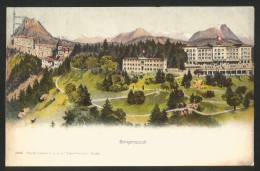BÜRGENSTOCK Hotels Lift Ca. 1900 - Autres & Non Classés