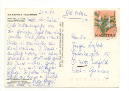 Mauritius (maurice) Letter 5 (postcard) With 2 Scans - Maurice (1968-...)