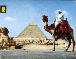 (106) Egypt - Giza Pyramid And Sphinx With Camel - Guiza