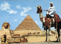 (106) Egypt - Giza Pyramid And Sphinx With Camel - Gizeh