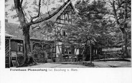 AK  Forsthaus Plessenburg Bei Ilsenburg Am Harz, Ungel. Um 1915 - Ilsenburg