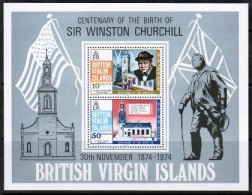 VIRGIN ISLANDS    Scott #  278-9a**  VF MINT NH Souvenir Sheet - Iles Vièrges Britanniques