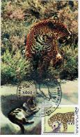 Poland 1983 Fauna Panthera Onca Jaguar Cat Cats, Canceled In Lodz Zoo - Maximumkarten