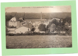 D01 - MONTLUEL - VUE GENERALE DE L'USINE HEER - état Voir Descriptif - Montluel