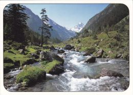 Cp , RÉGIONS , MIDI-PYRÉNÉES , A La Découverte Du Charme Des Pyrénées , La Fruitière , Le Gave Du Lutour - Midi-Pyrénées