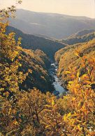 Cp , RÉGIONS , MIDI-PYRÉNÉES , Haute Vallée Du Tarn - Midi-Pyrénées