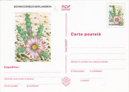 CACTUSSES, 6XPC STATIONERY, ENTIERE POSTAUX, 1997, ROMANIA - Cactusses