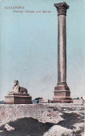 Egypte, Alexandria 1917, Pompey Column And Sphinx,  14 X 9 Cm, Circulé Non - Alexandria