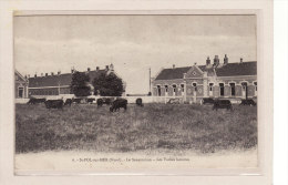 SAINT-POL-SUR-MER (59) / SANTE / LAITERIES / Le Sanatorium / Les Vaches Laitieres - Saint Pol Sur Mer