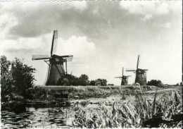 KINDERDIJK (Z.H.) - Molen/moulin - Unesco Erfgoed: Groep (polder-) Molens Aan De Nederwaard - Kinderdijk