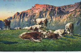 SUISSE - Abend Auf Der Alp (vaches) - Carte Postée à SAAS FEE - Saas Im Prättigau