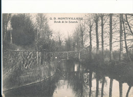 N N 114 /C P A - MONTIVILLIERS  (76) LE  BORDS DE LA LEZARDE - Montivilliers