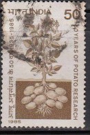 Used 1985, Potato Research, Science, Plant, Vegetable   (sample Image) - Légumes
