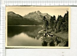 SILS  Im Engadin - Halbinsel Chasté - Blick Auf Piz Della Margna - Sils Im Engadin/Segl