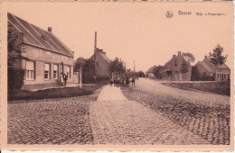 Beerst.  -  Wijk "Hogeraad". - Diksmuide